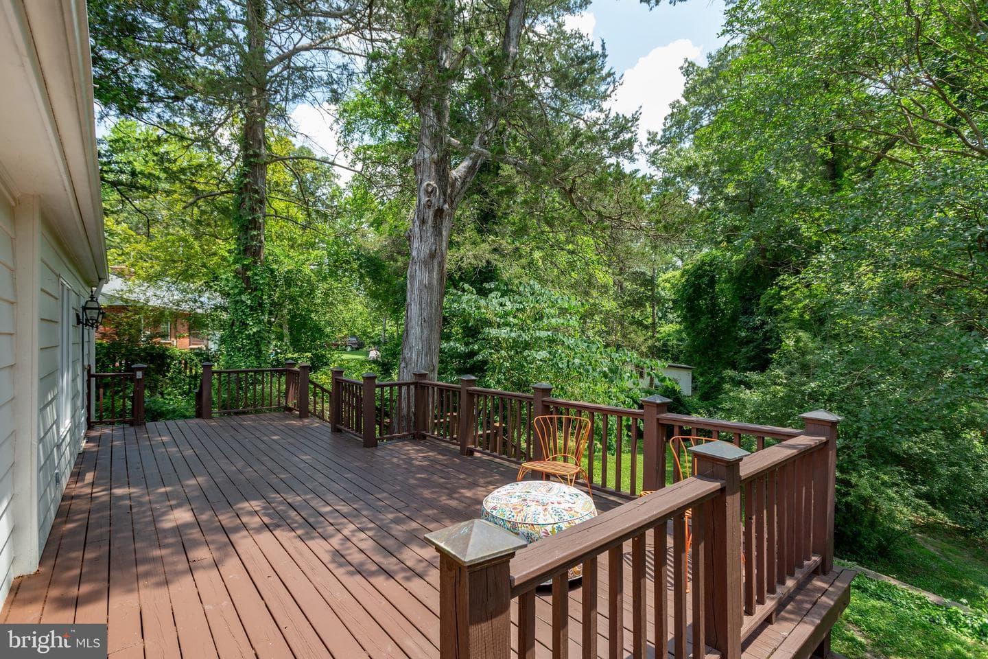 12 Nelson Street photo 78