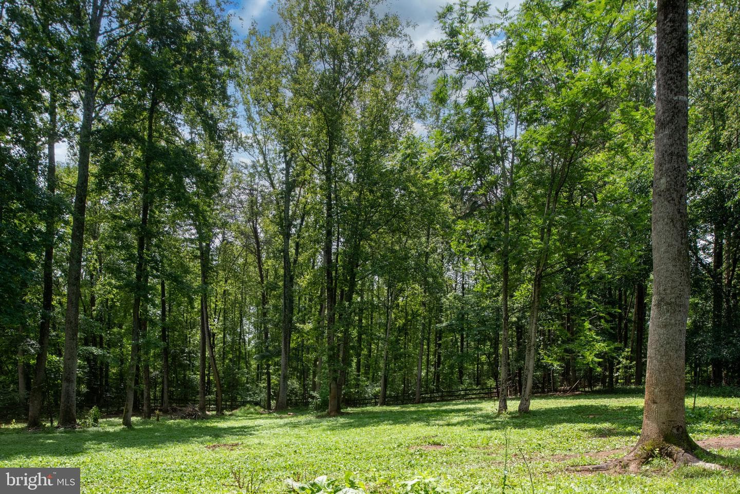 24 Cannon Knolls Drive photo 67