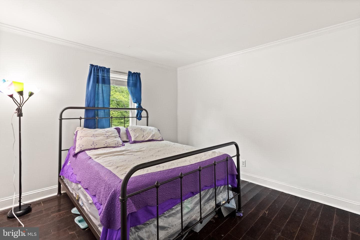 244 Raintree Boulevard photo 22