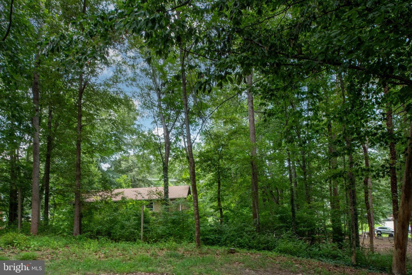 142 Woodland Drive photo 31