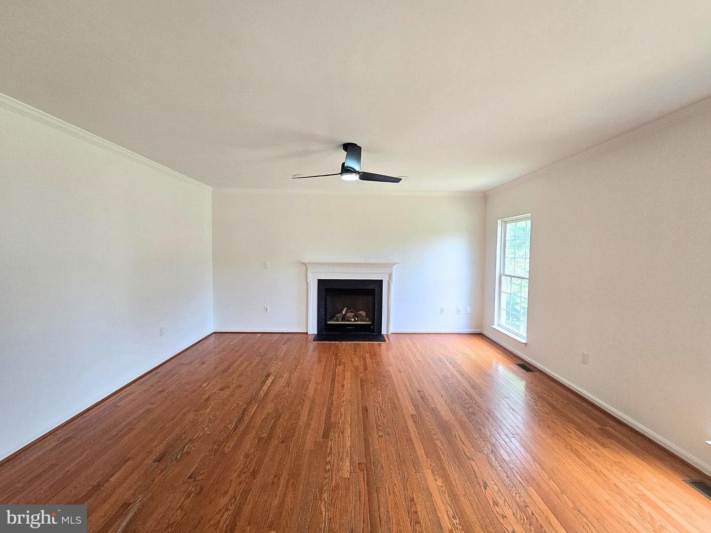 49 Basalt Drive photo 13
