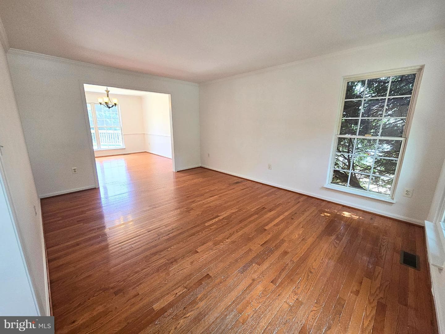 49 Basalt Drive photo 4
