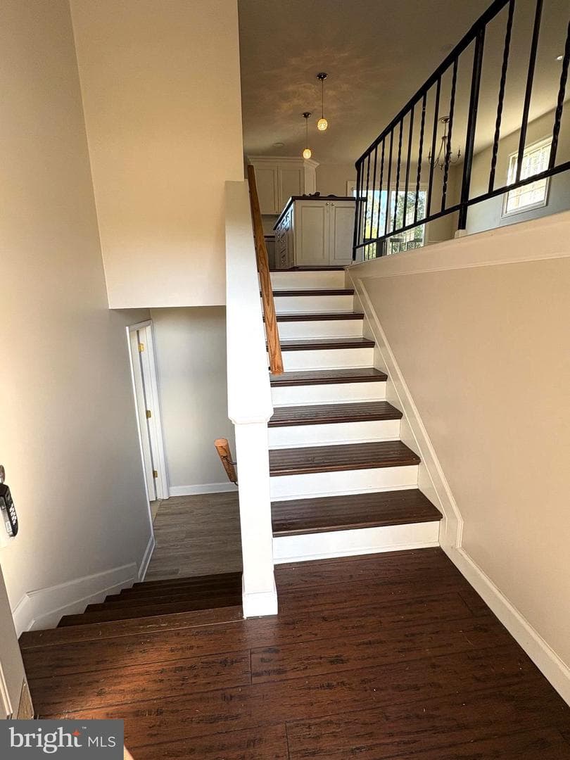 10 Wynngate Court photo 22