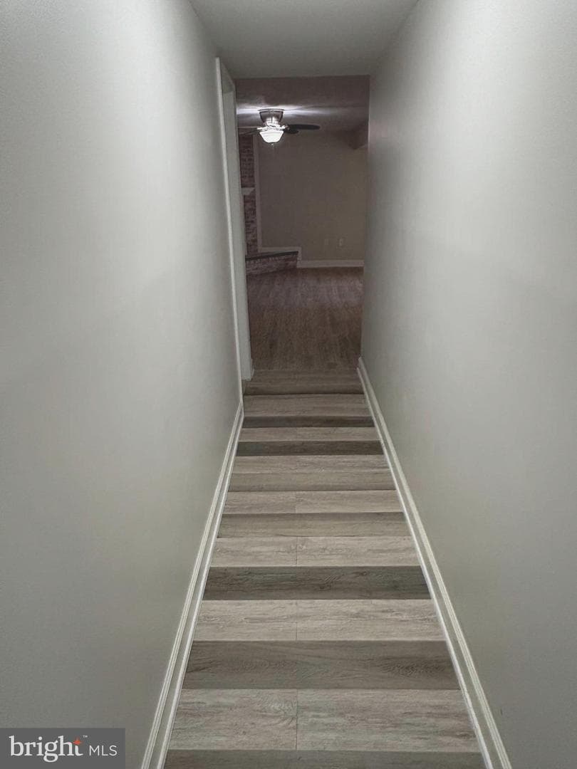 10 Wynngate Court photo 30