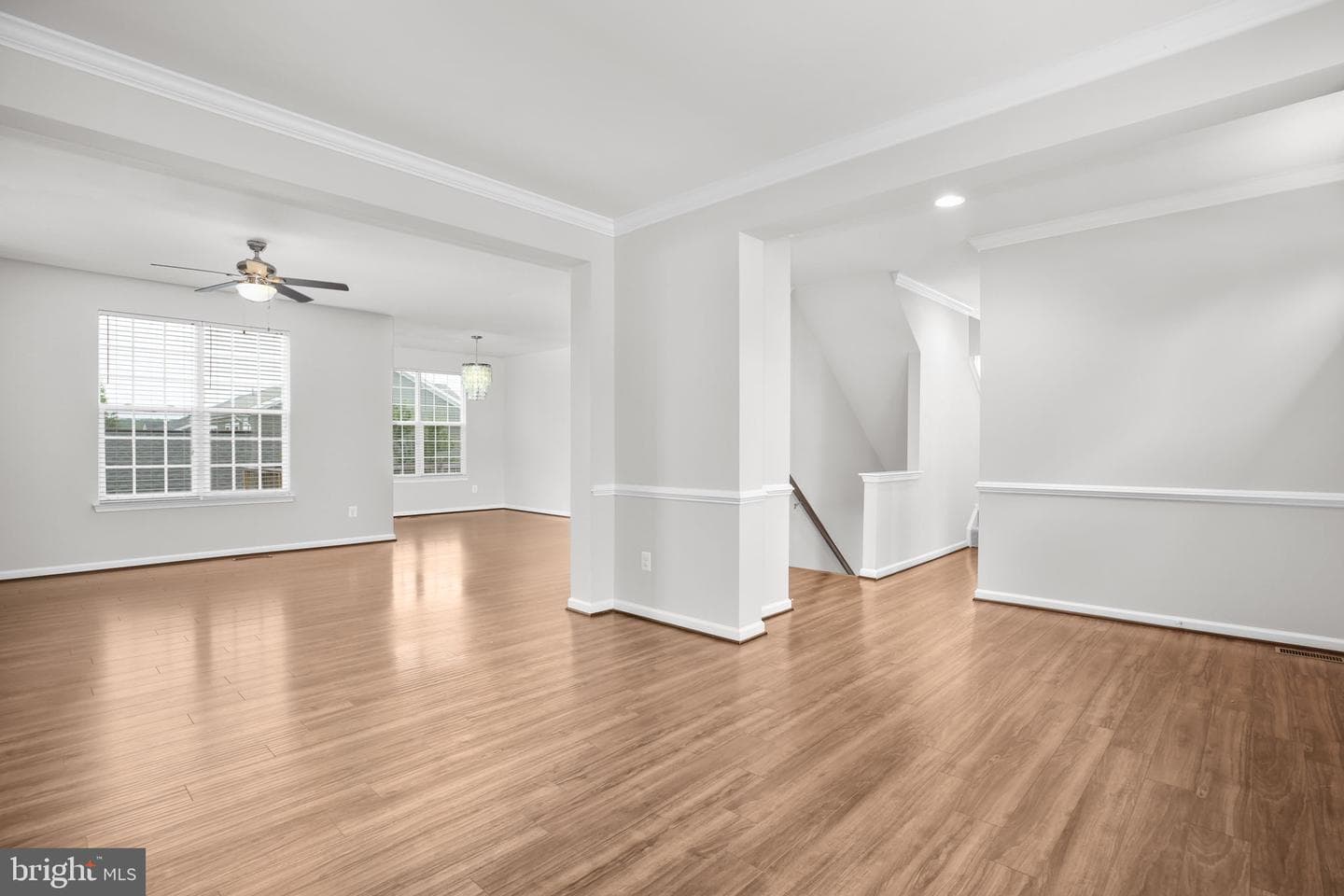 407 Apricot Street photo 5