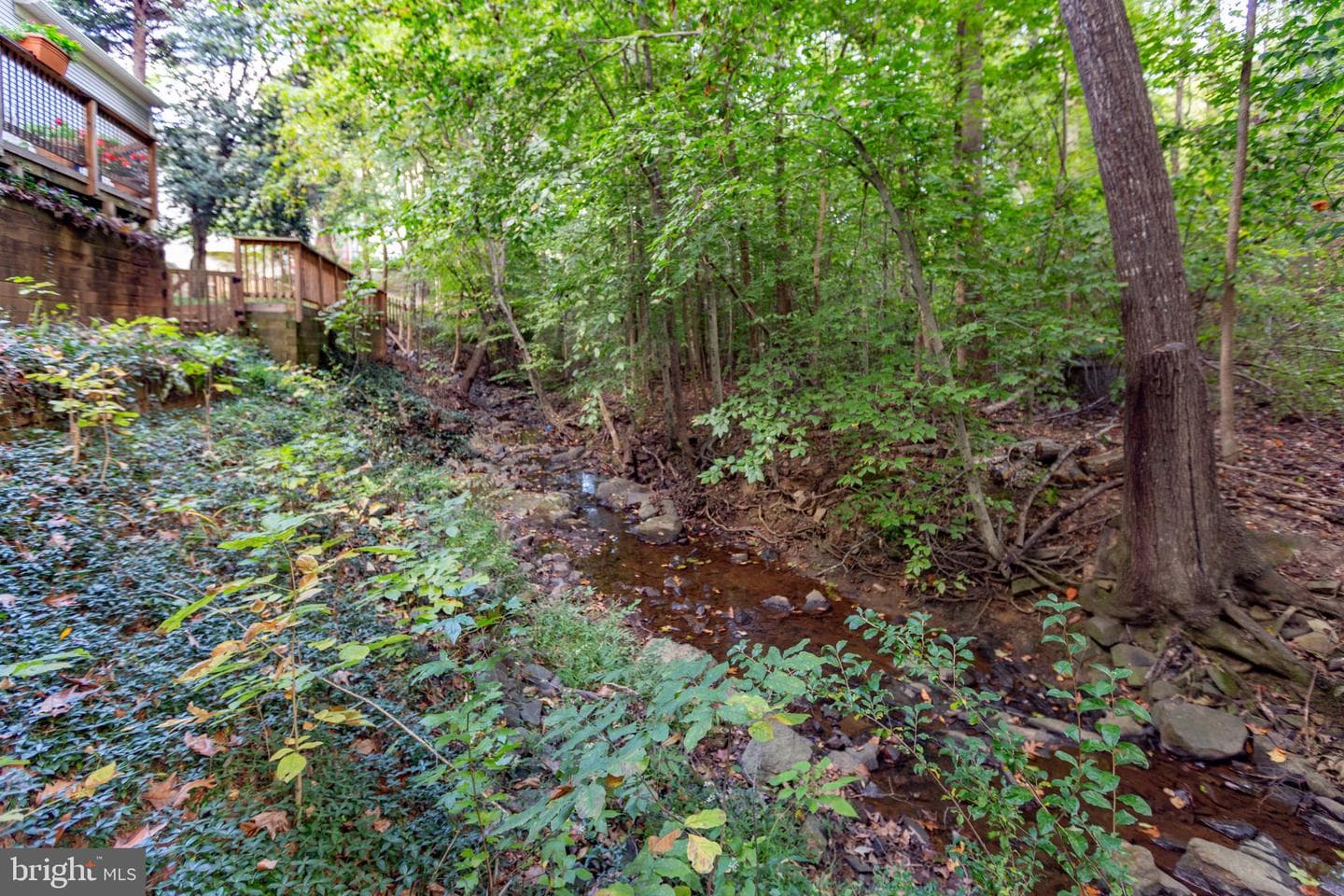 7 Lee Court photo 68