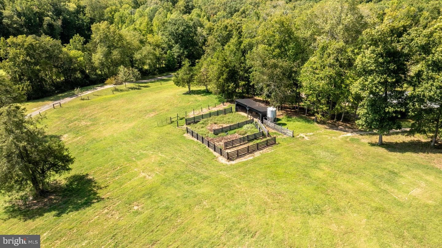 161 Forest Lane Road photo 61