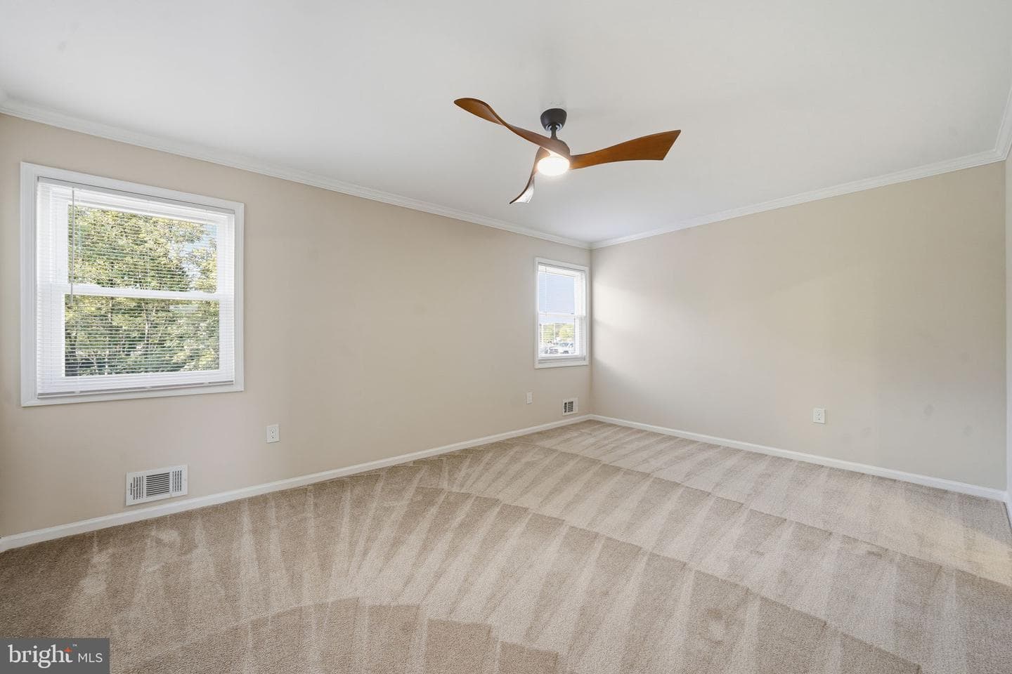 1 Alice Court photo 15