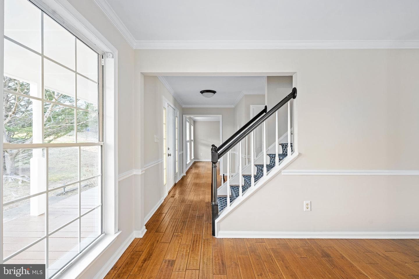 141 Northampton Boulevard photo 25