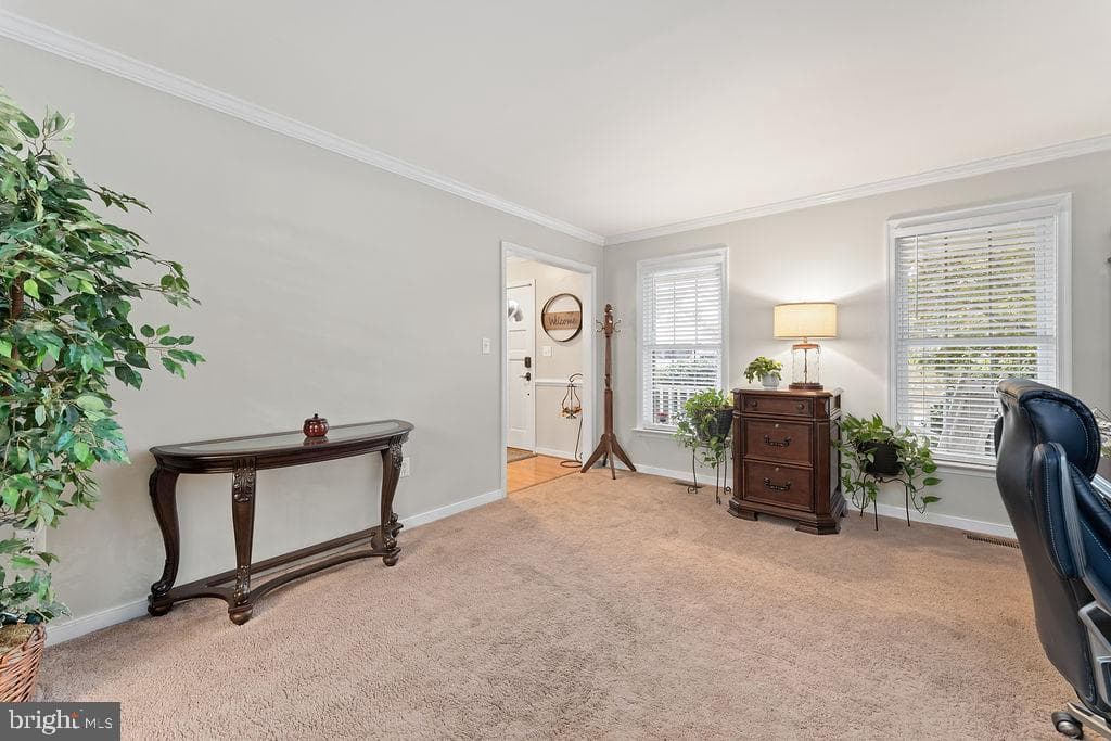 41 Dawson Drive photo 20