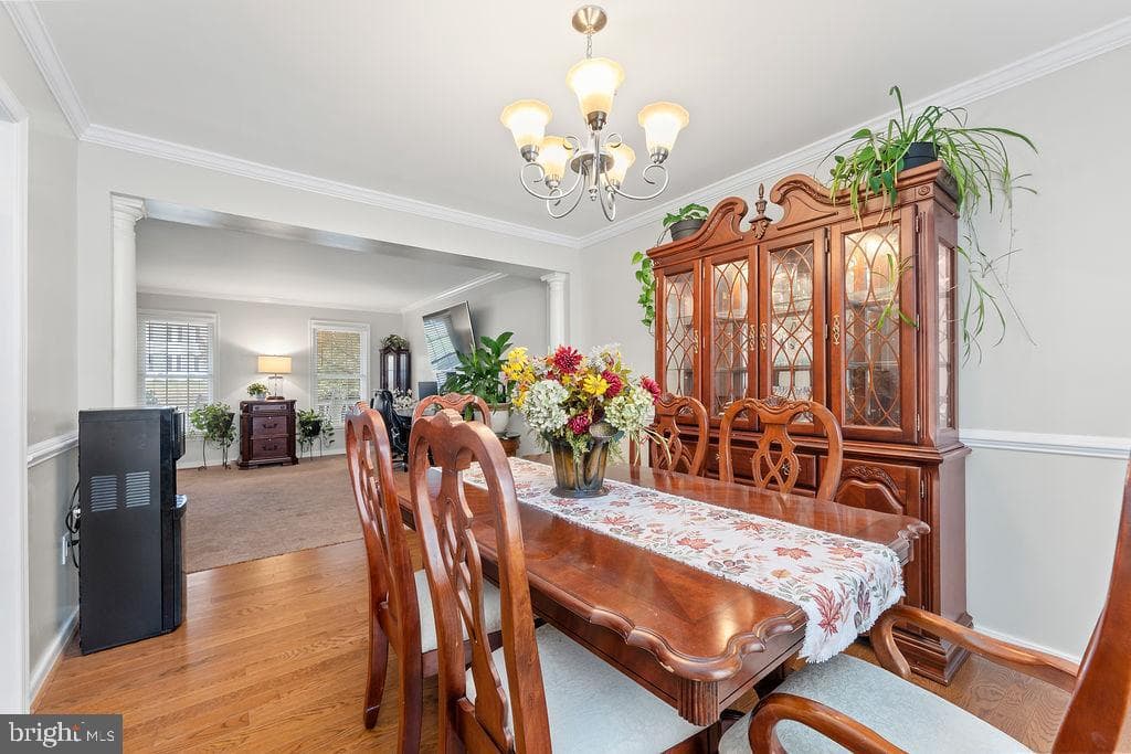 41 Dawson Drive photo 23