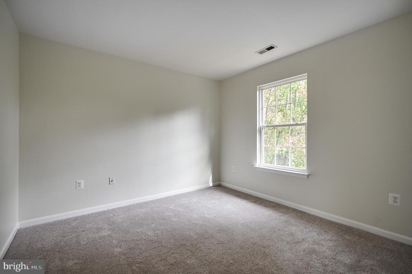 10 Ashley Court photo 25