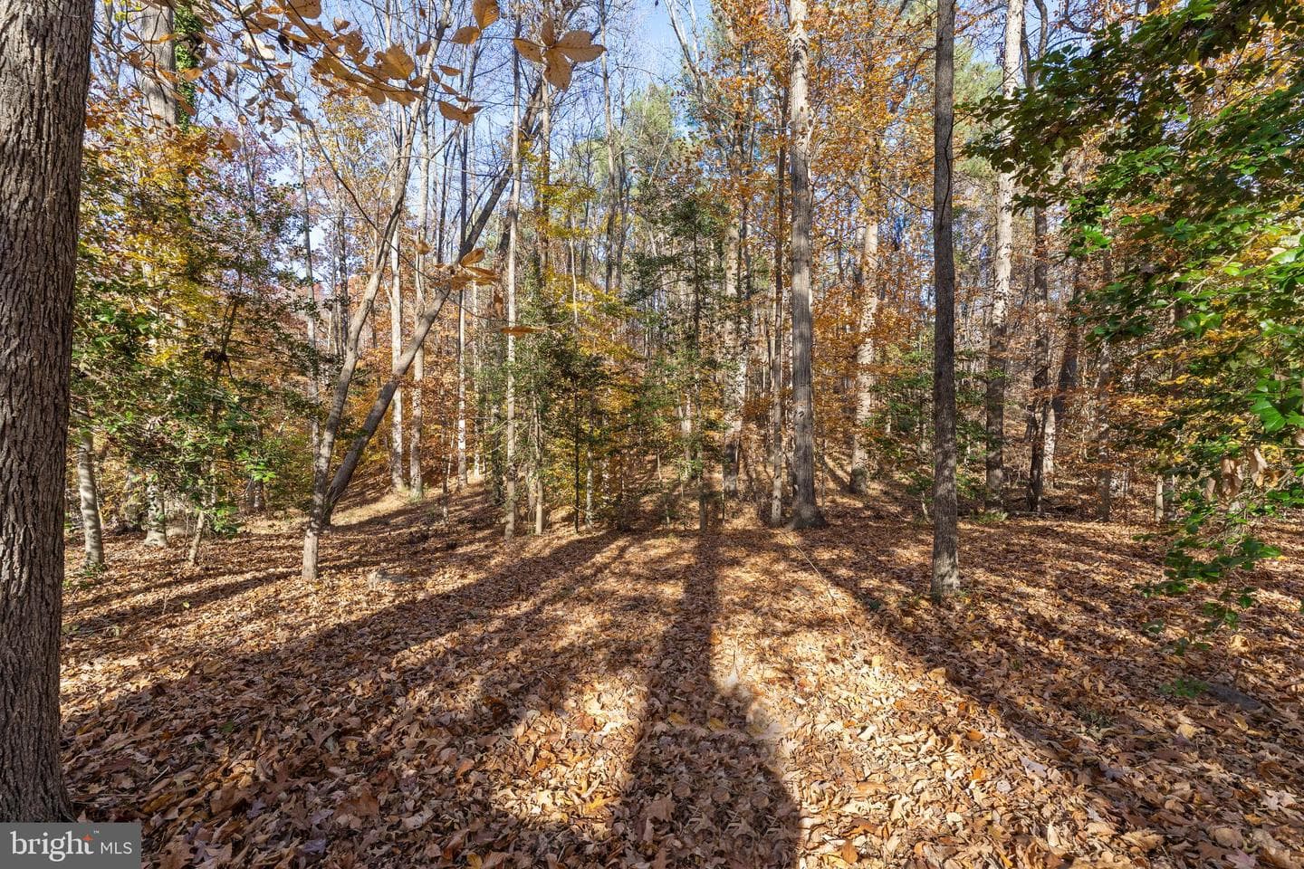 213 Sleepy Hollow Trl photo 61