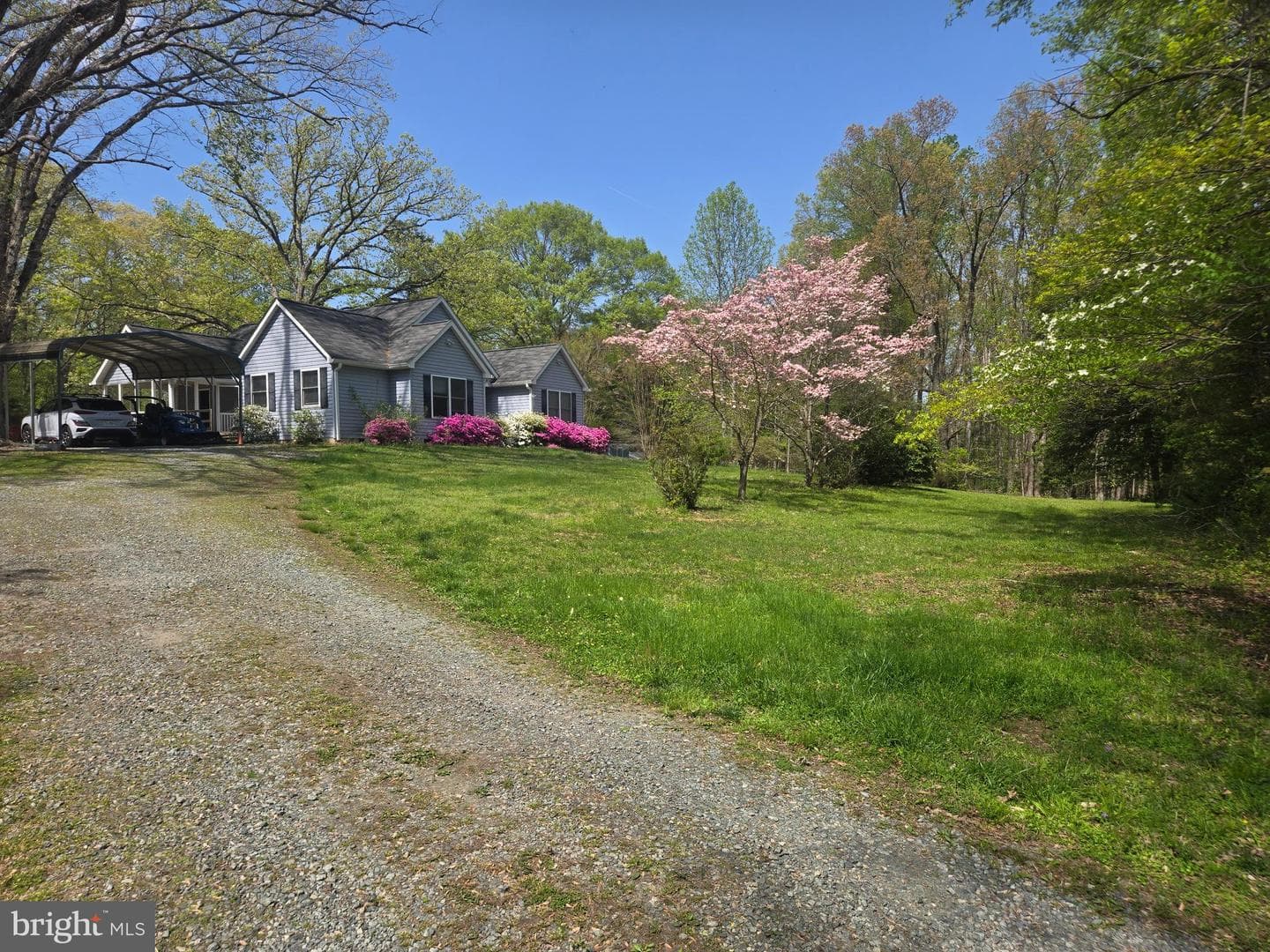 45 Moorwood Drive photo 20