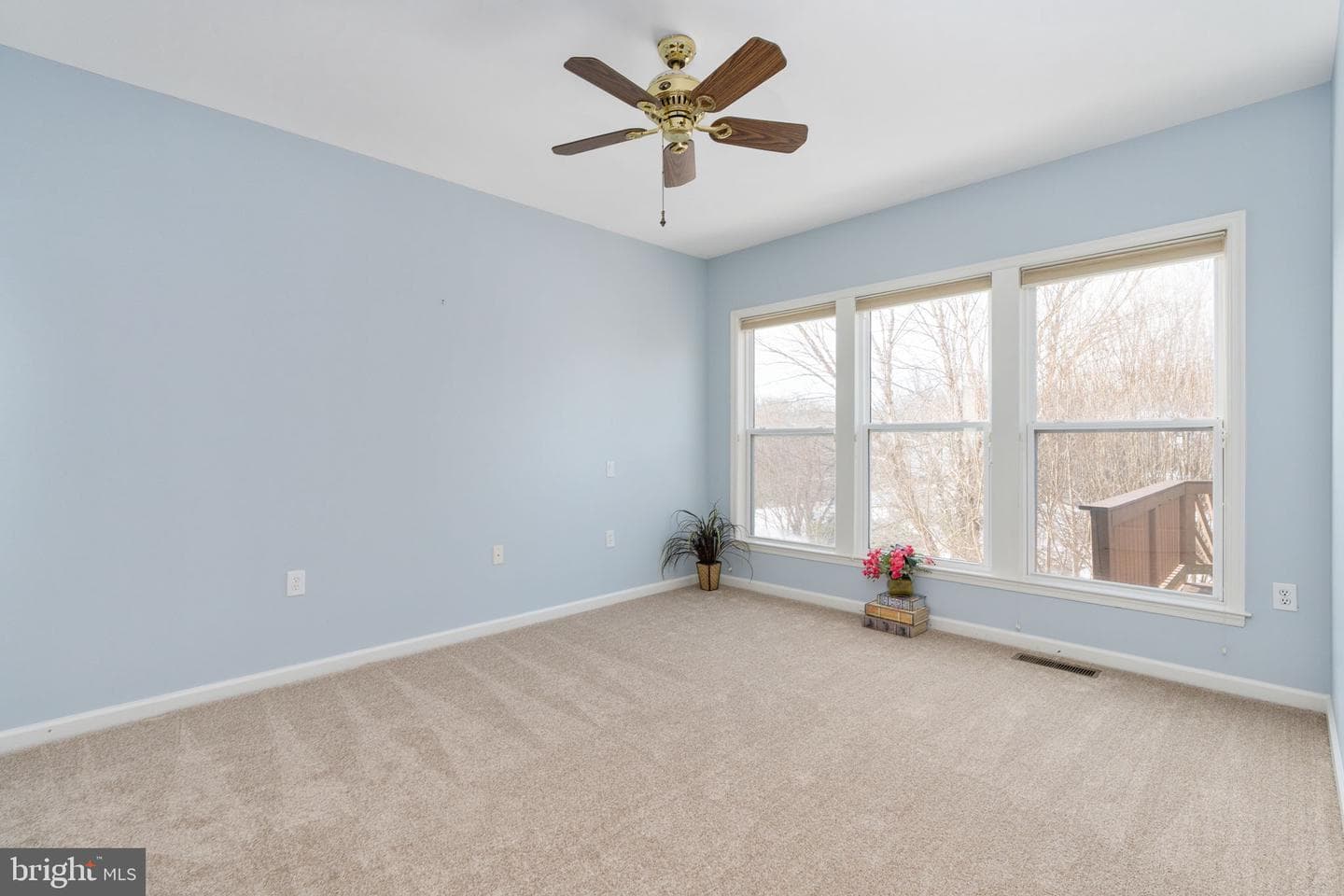 6 Buchanan Drive photo 13