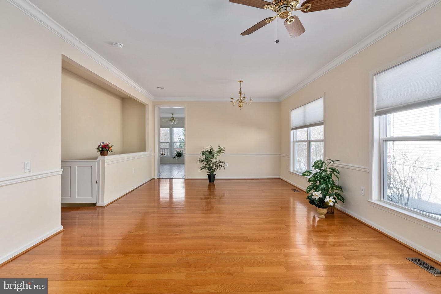6 Buchanan Drive photo 37