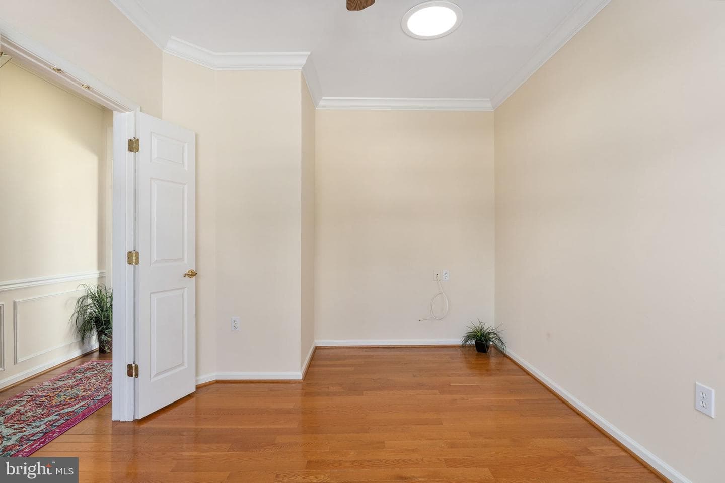 6 Buchanan Drive photo 40