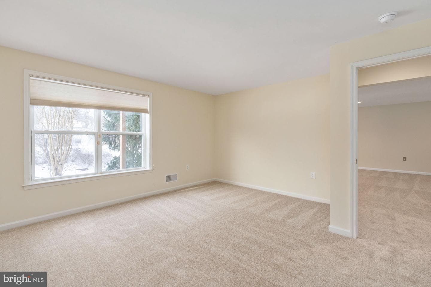 6 Buchanan Drive photo 43