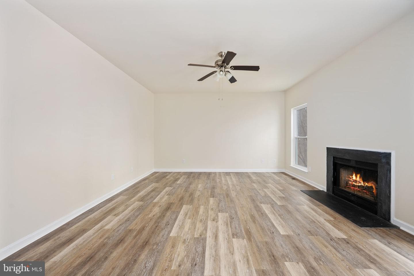 8 Newport Court photo 19