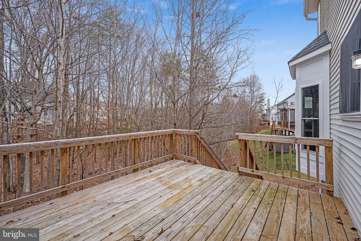 8 Newport Court photo 36