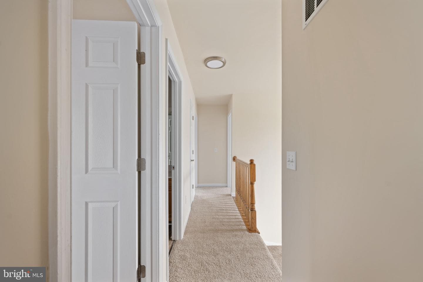 8 Newport Court photo 58