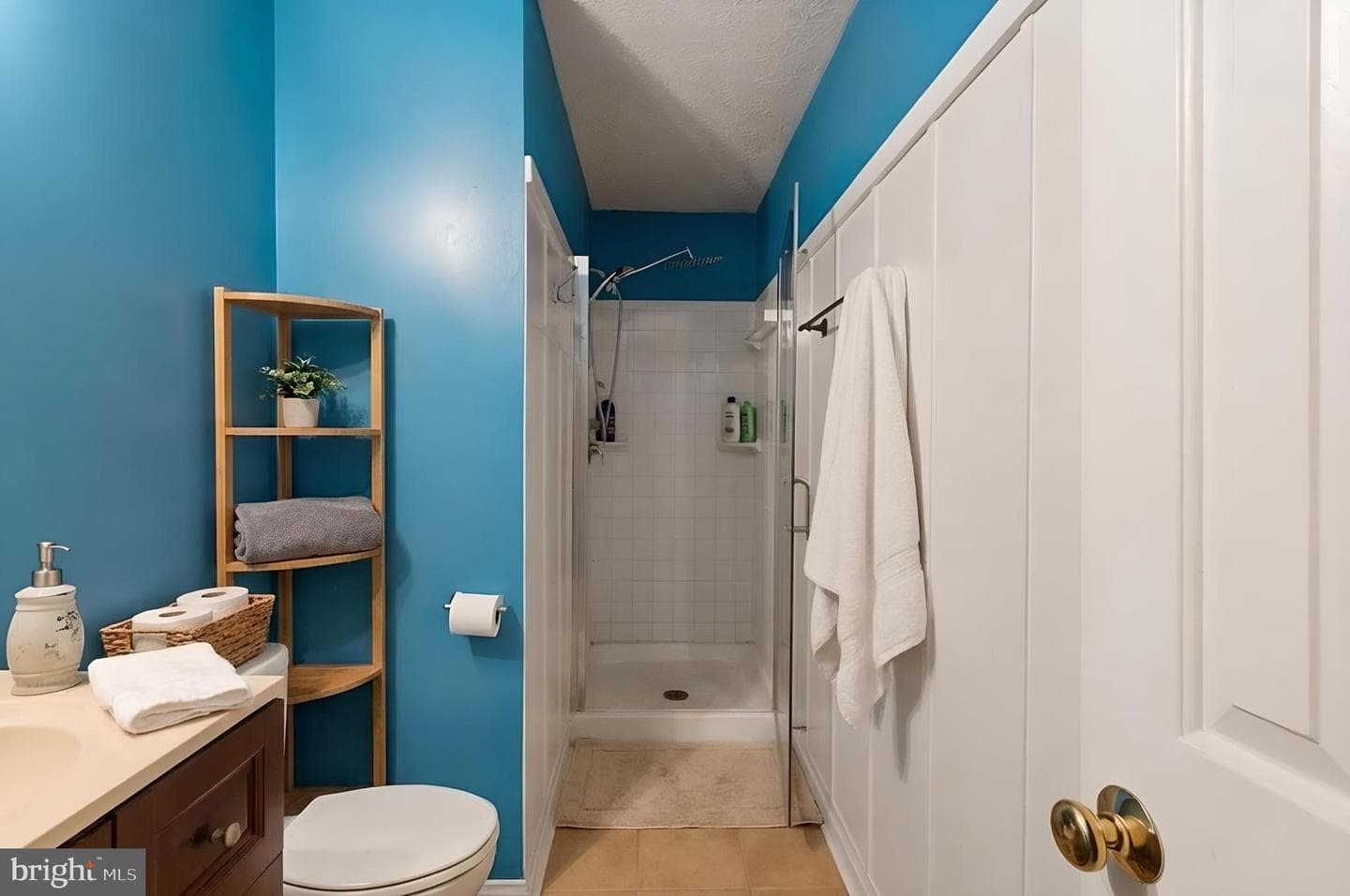 101 Bonair Street photo 14