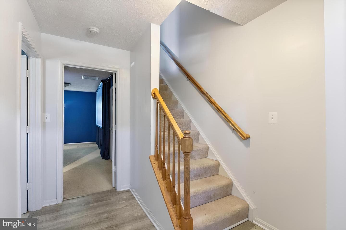 101 Bonair Street photo 17