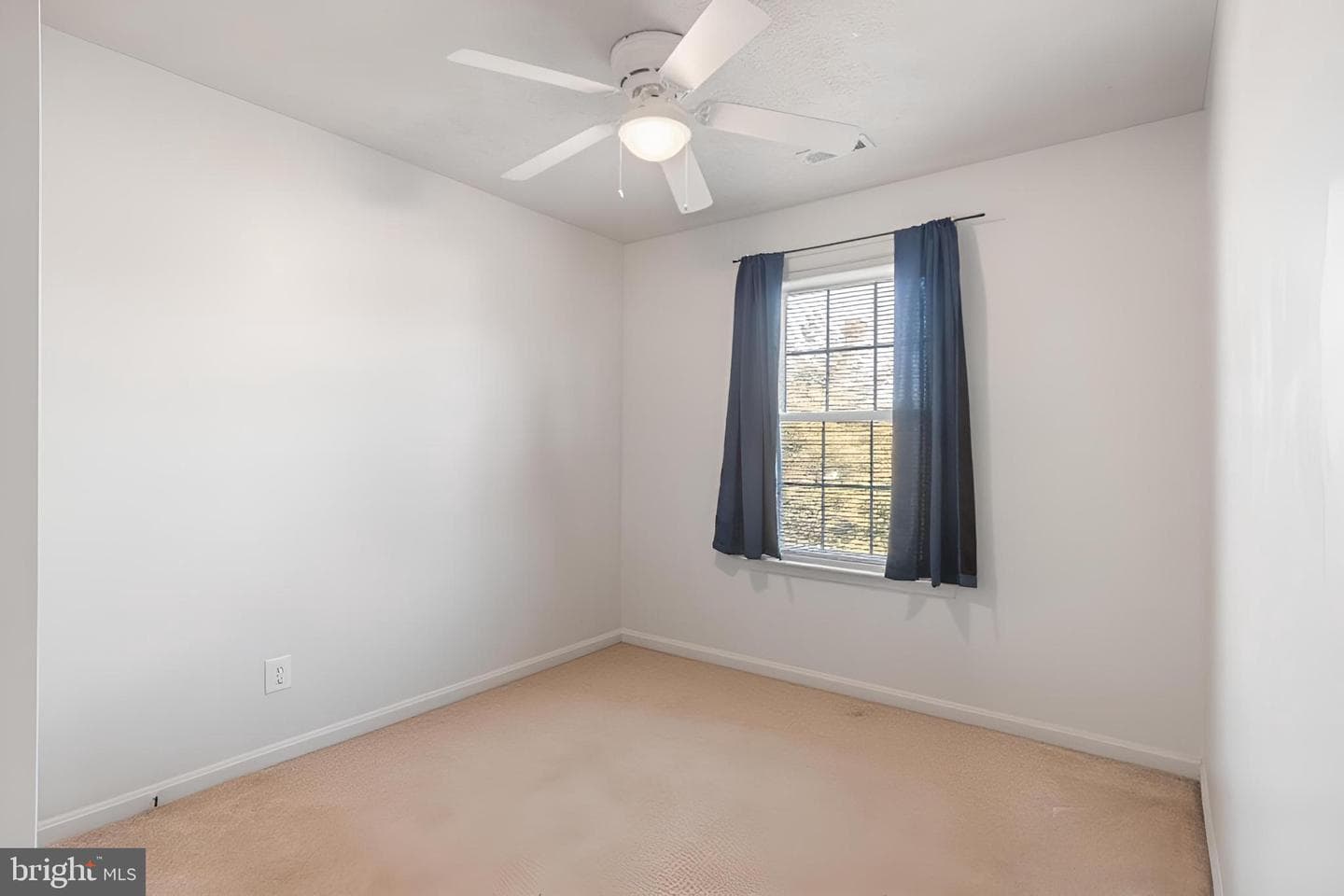 101 Bonair Street photo 27