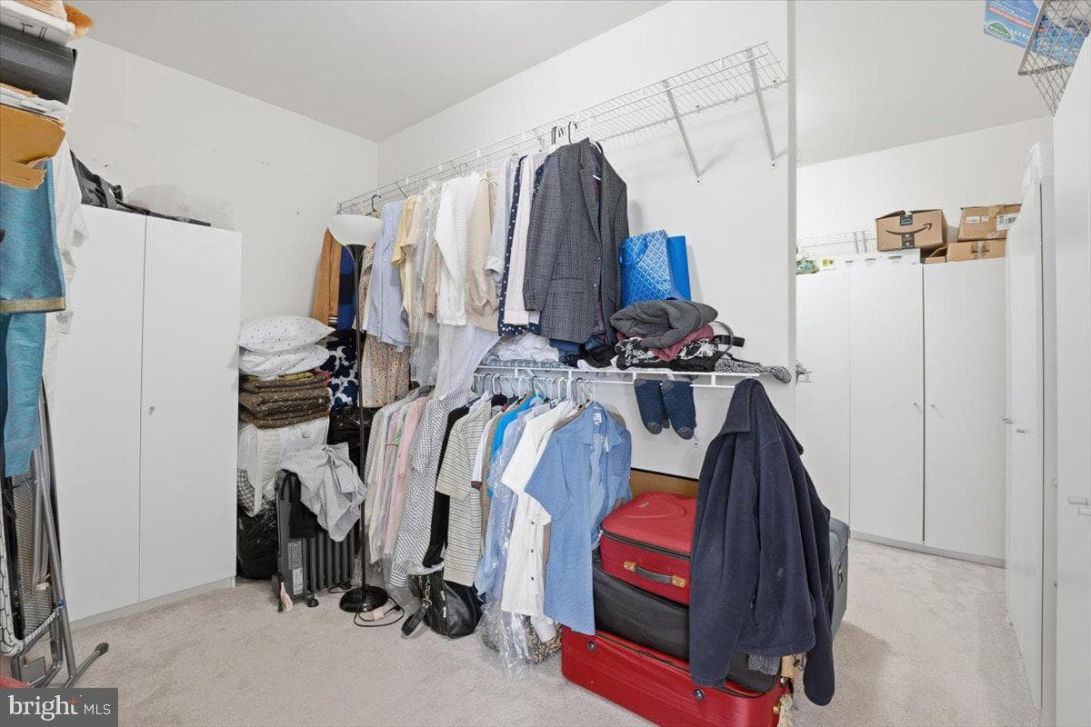 11 Sweet William Drive photo 46