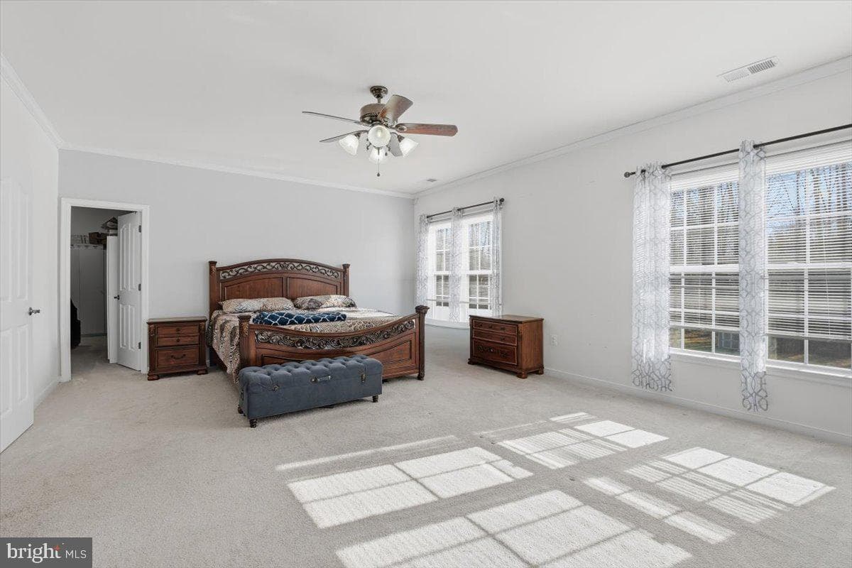 11 Sweet William Drive photo 47