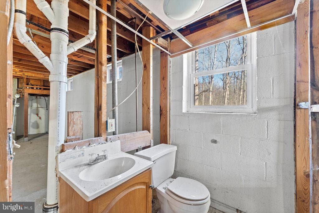 15 Winston Place photo 28