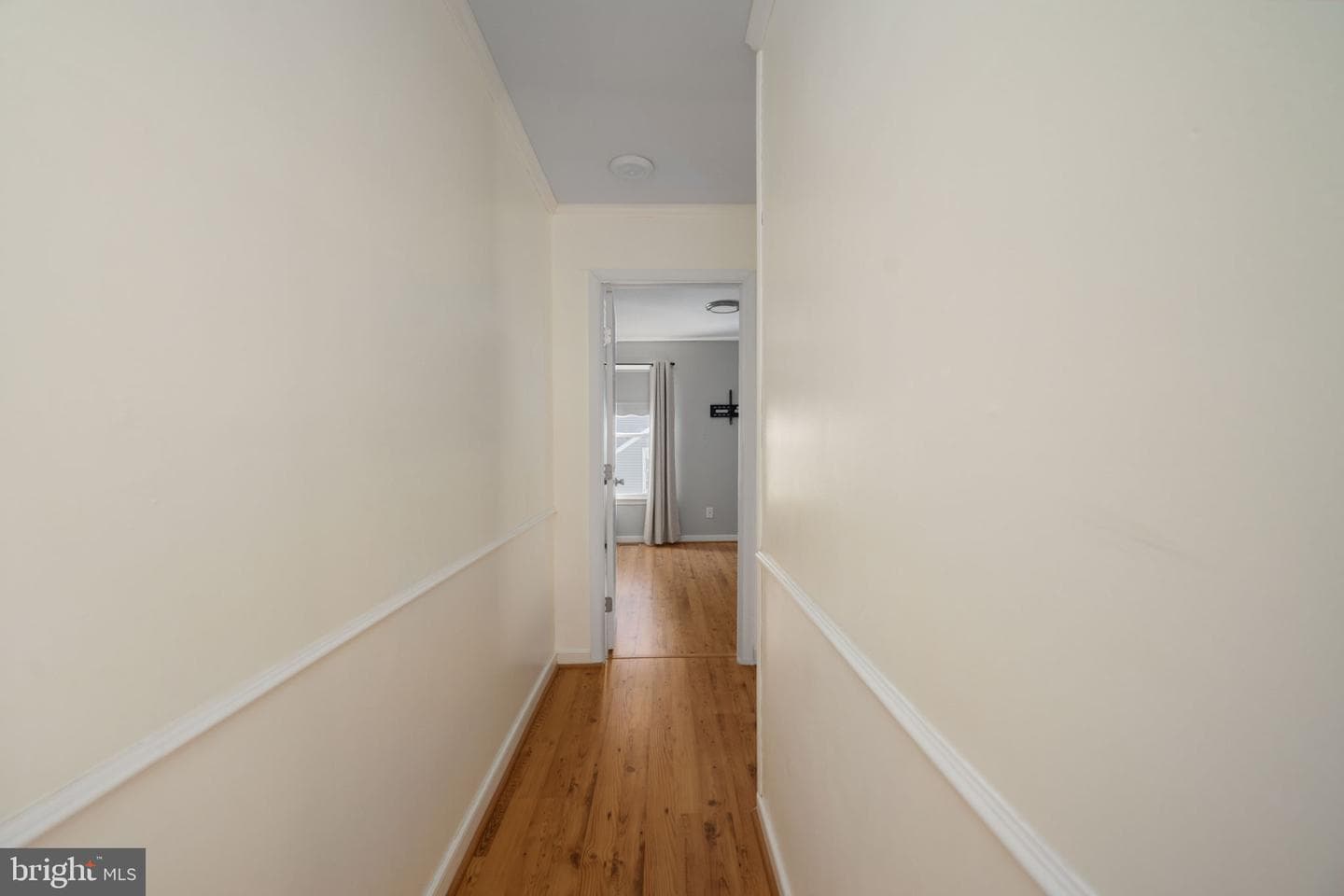 23 Garfield Street photo 51