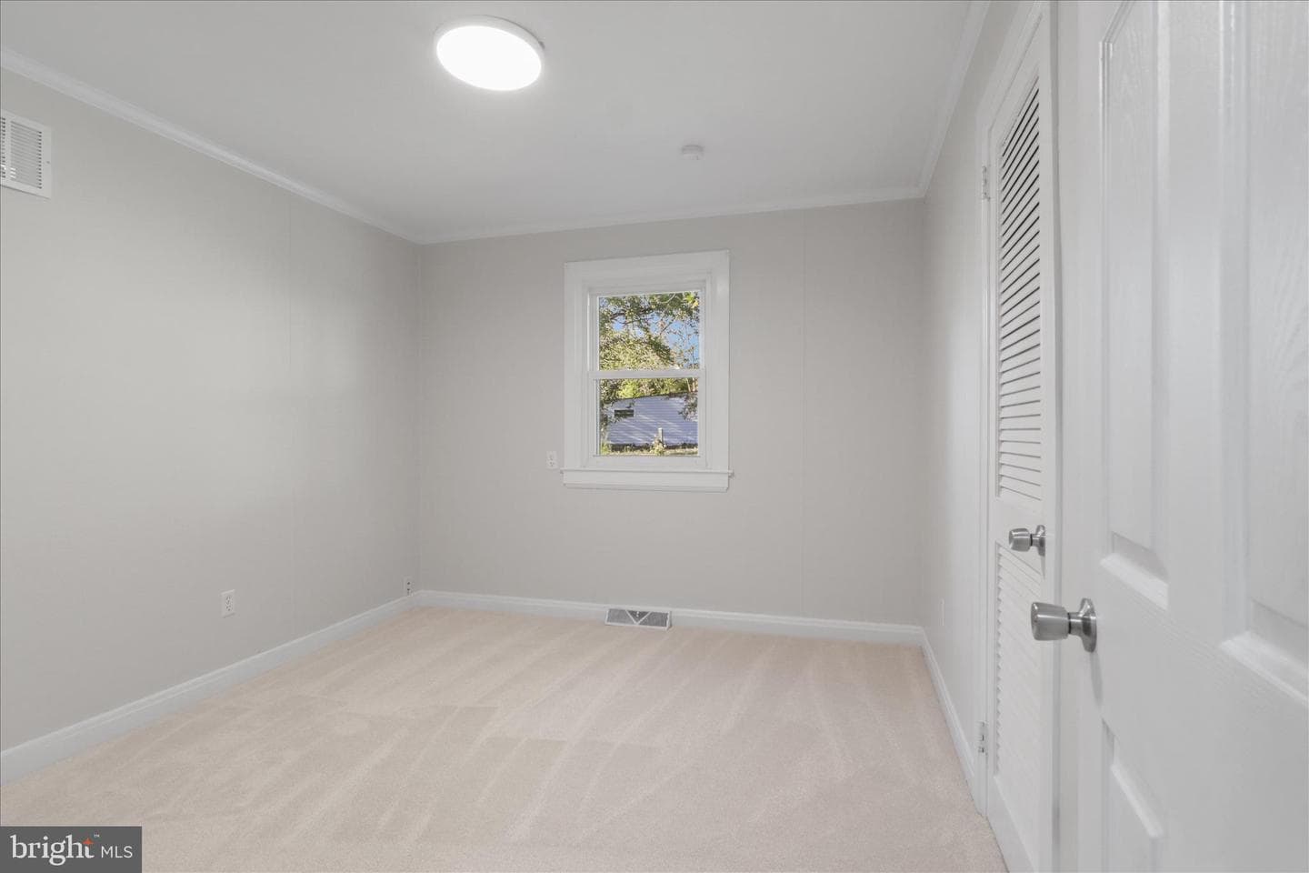347 Forest Lane Road photo 19