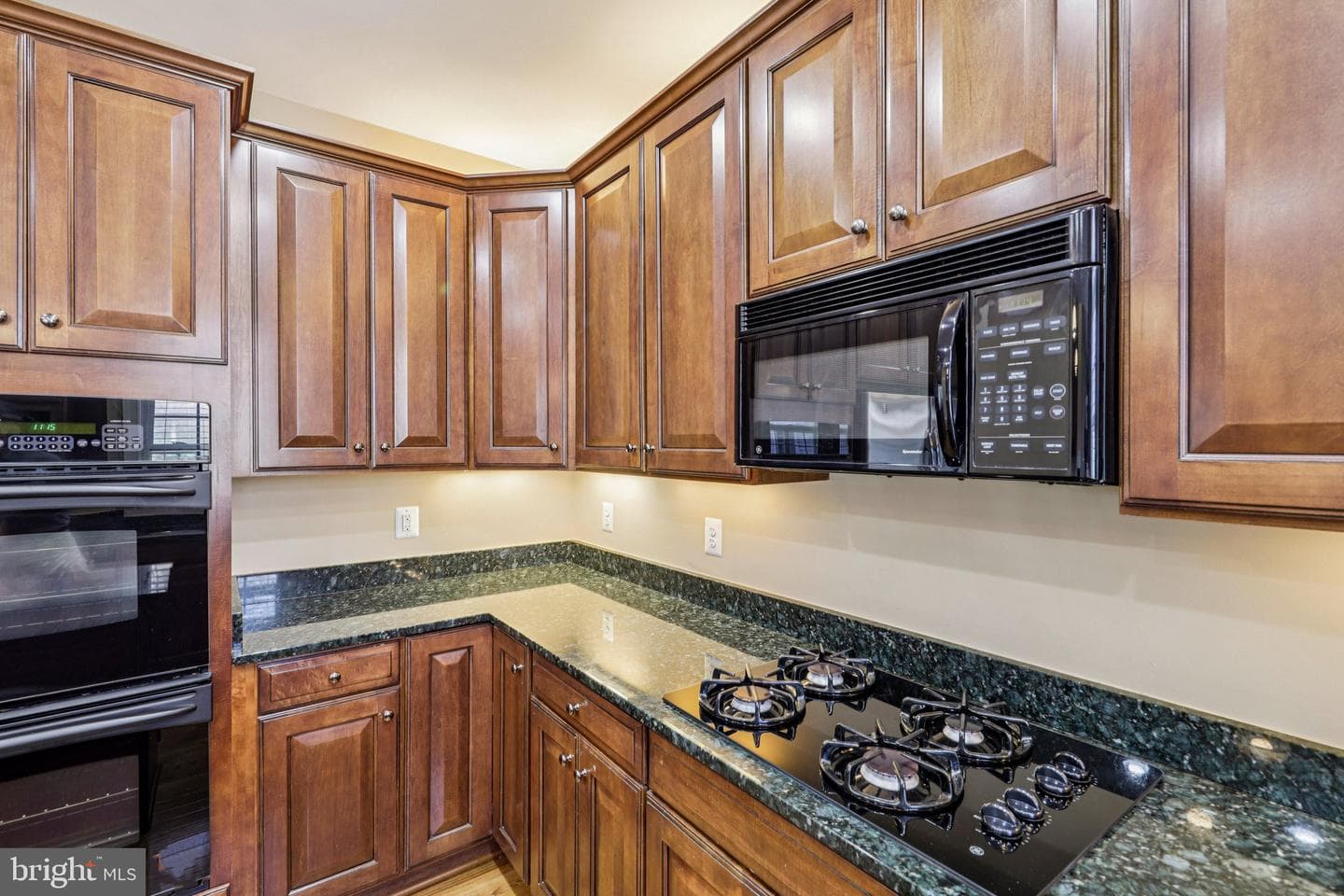 8 Brannigan Drive photo 19