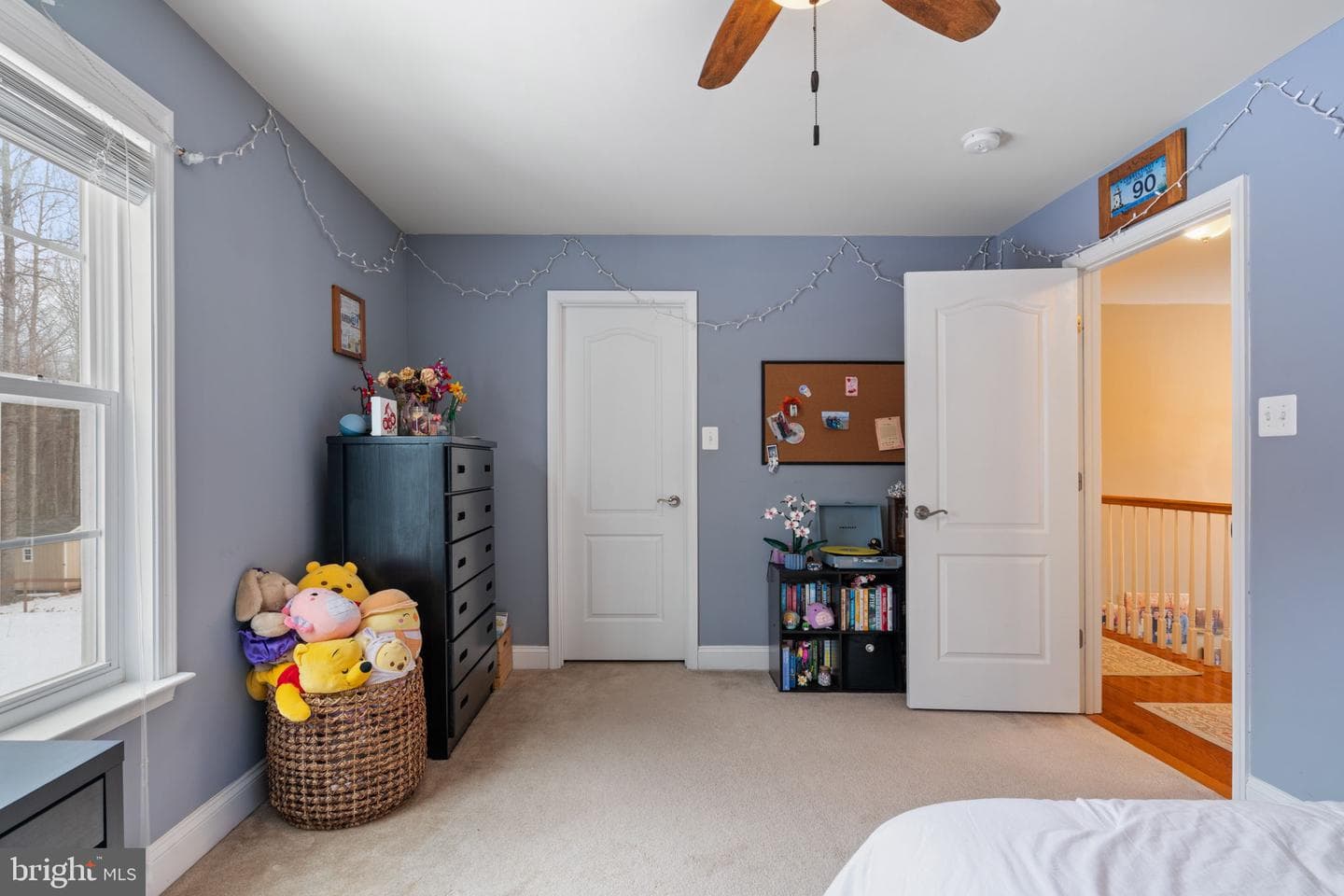 2816 Mountain View Road photo 41