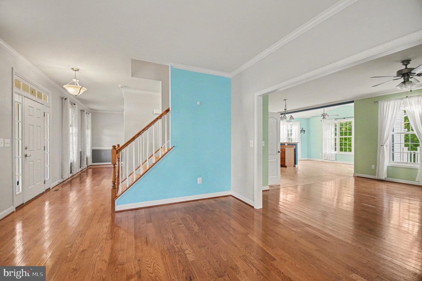 325 Phillips Street photo 5