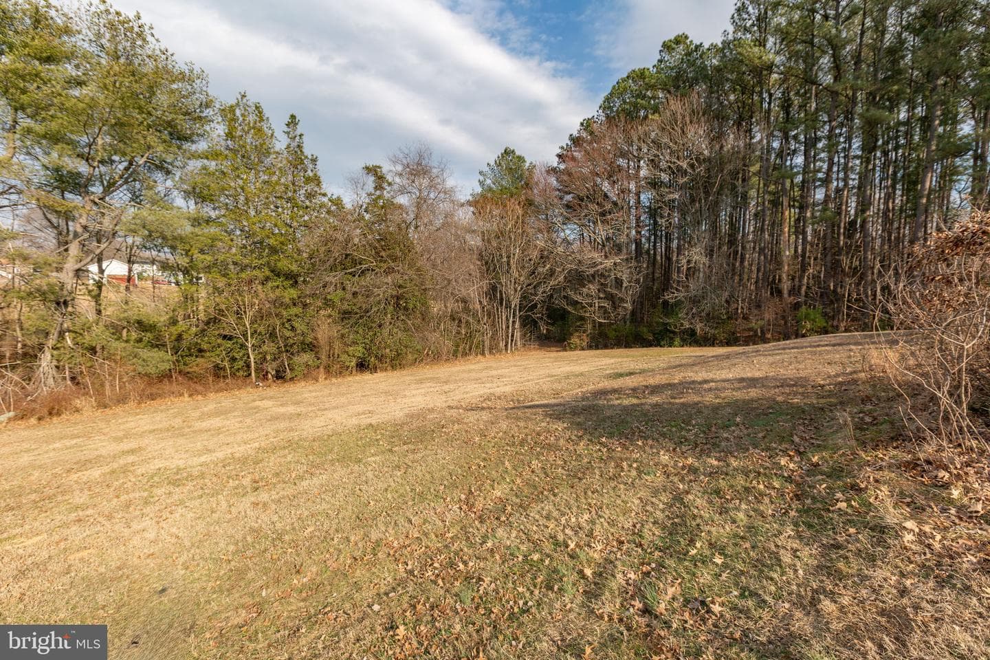 59 Mccarty Road photo 51