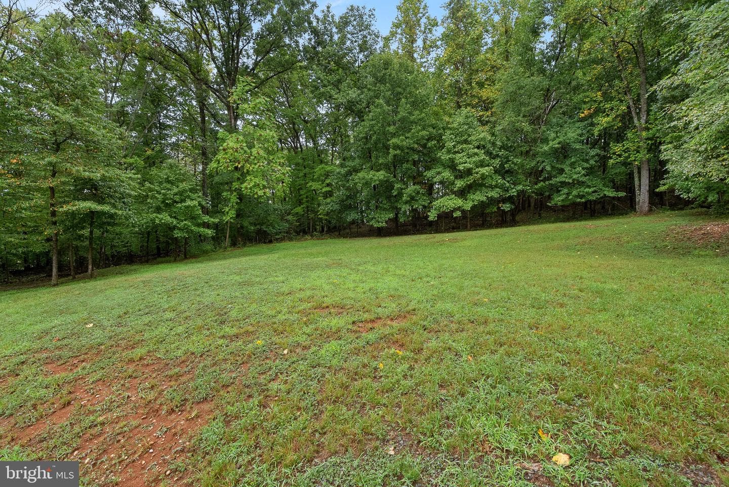 804 Telegraph Road photo 6