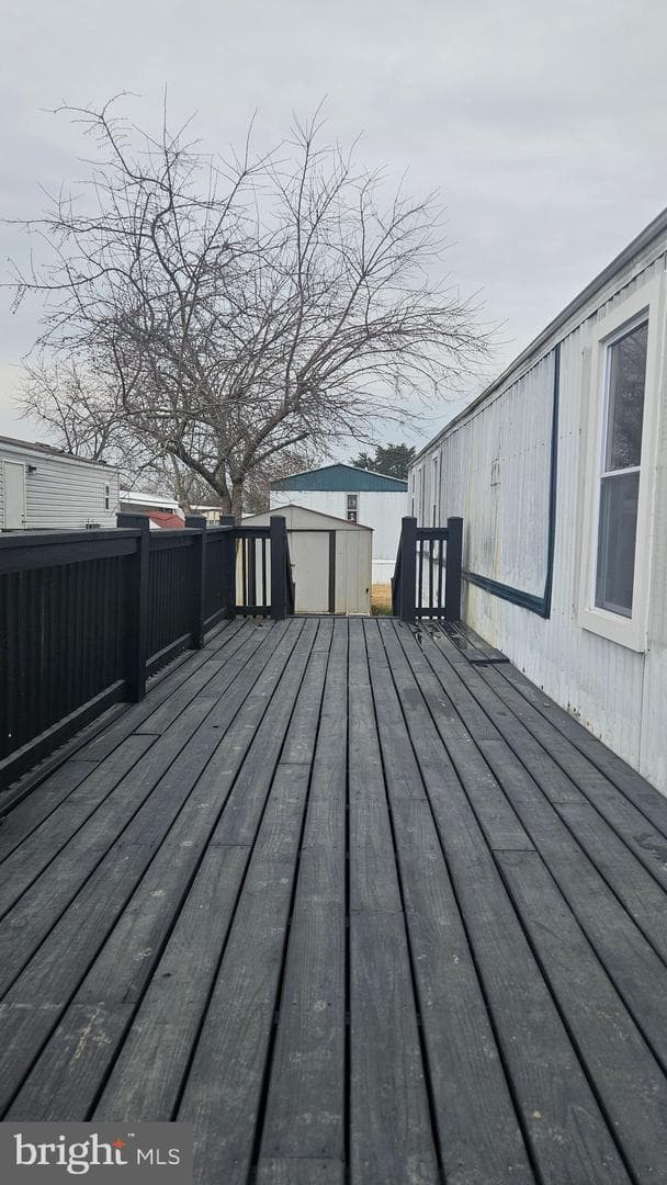 12 Susan St photo 24