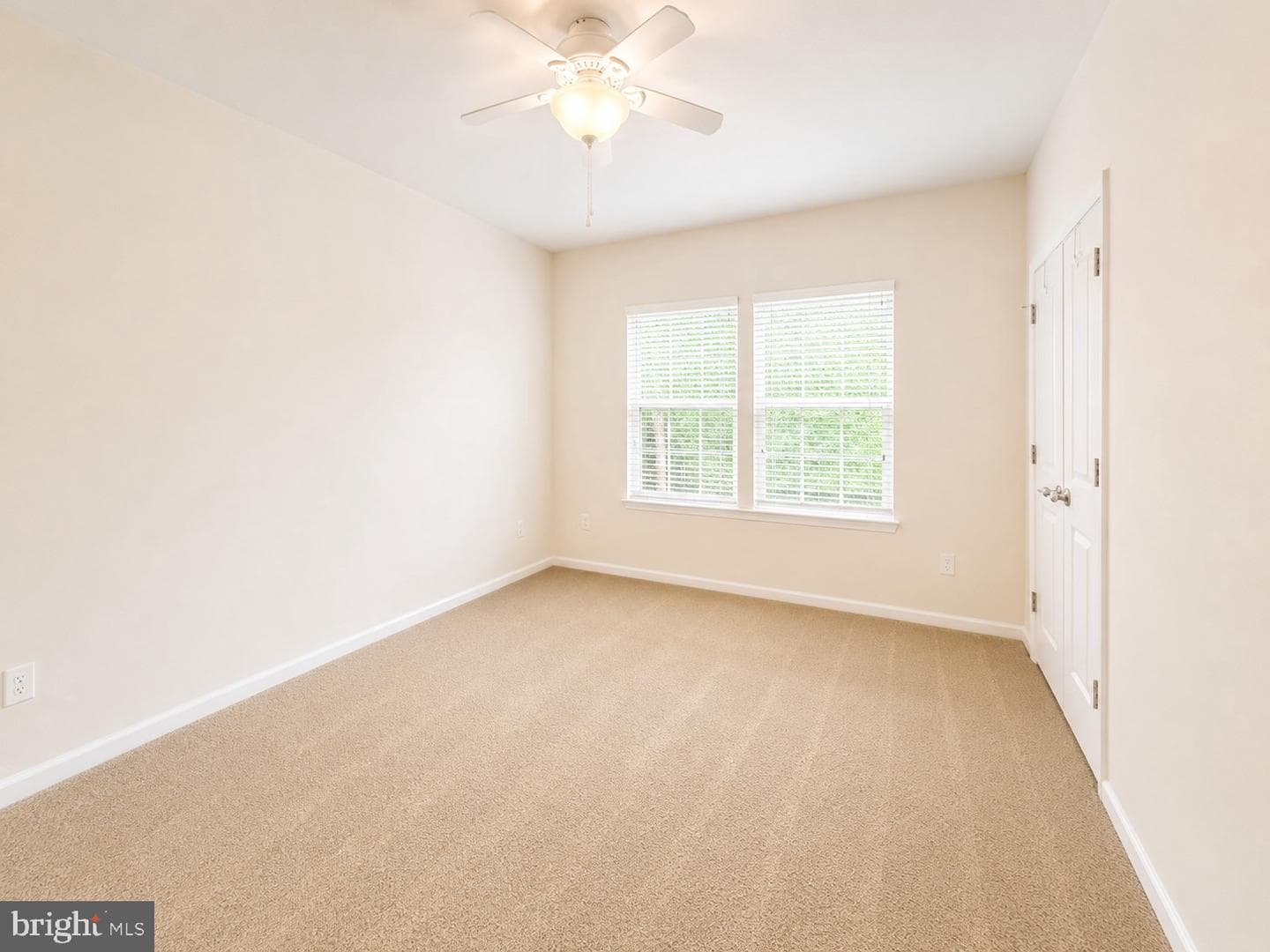 11 Braewood Drive photo 14
