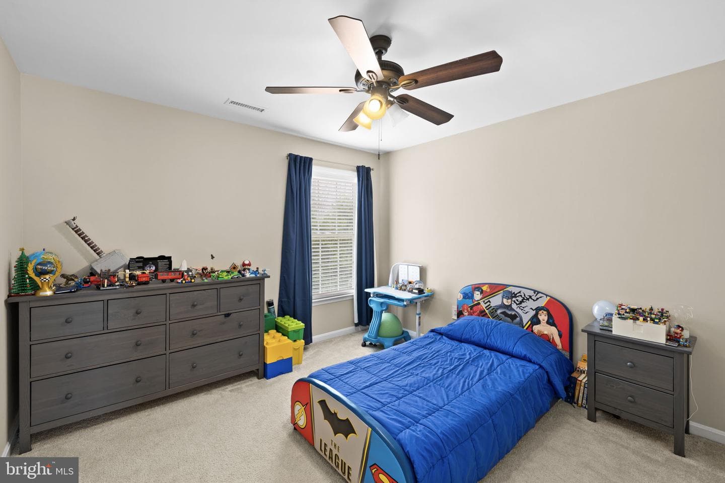 48 Boulder Drive photo 28