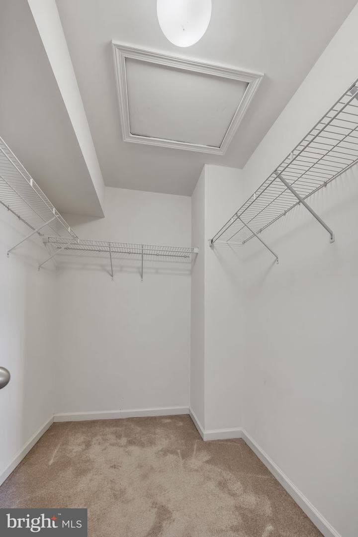 7 Coulter Lane photo 25
