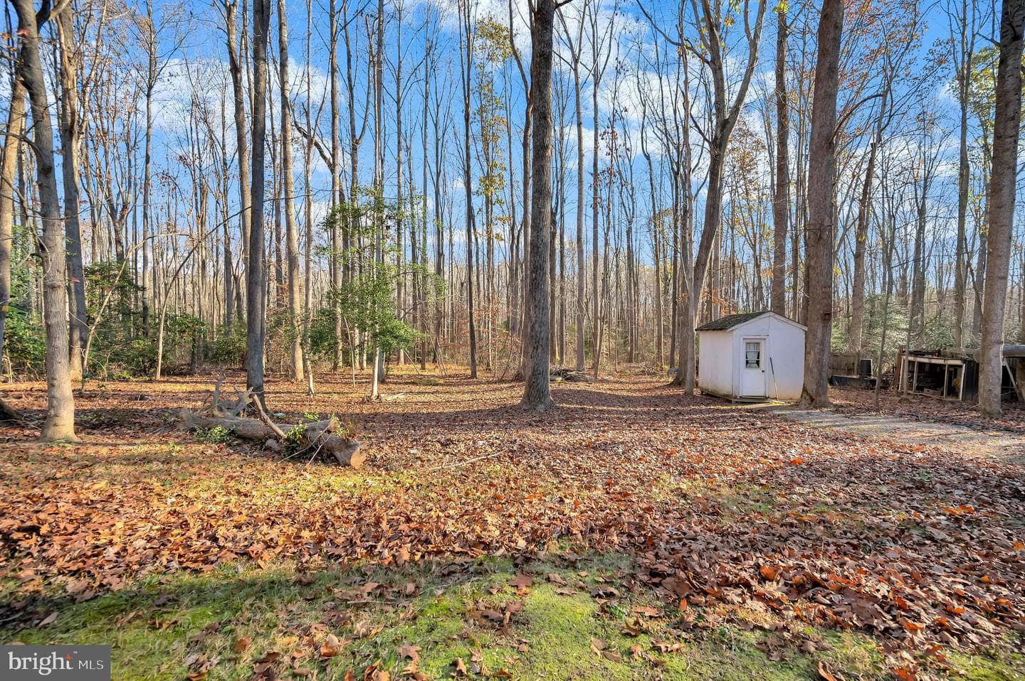 18 Winslow Road photo 46