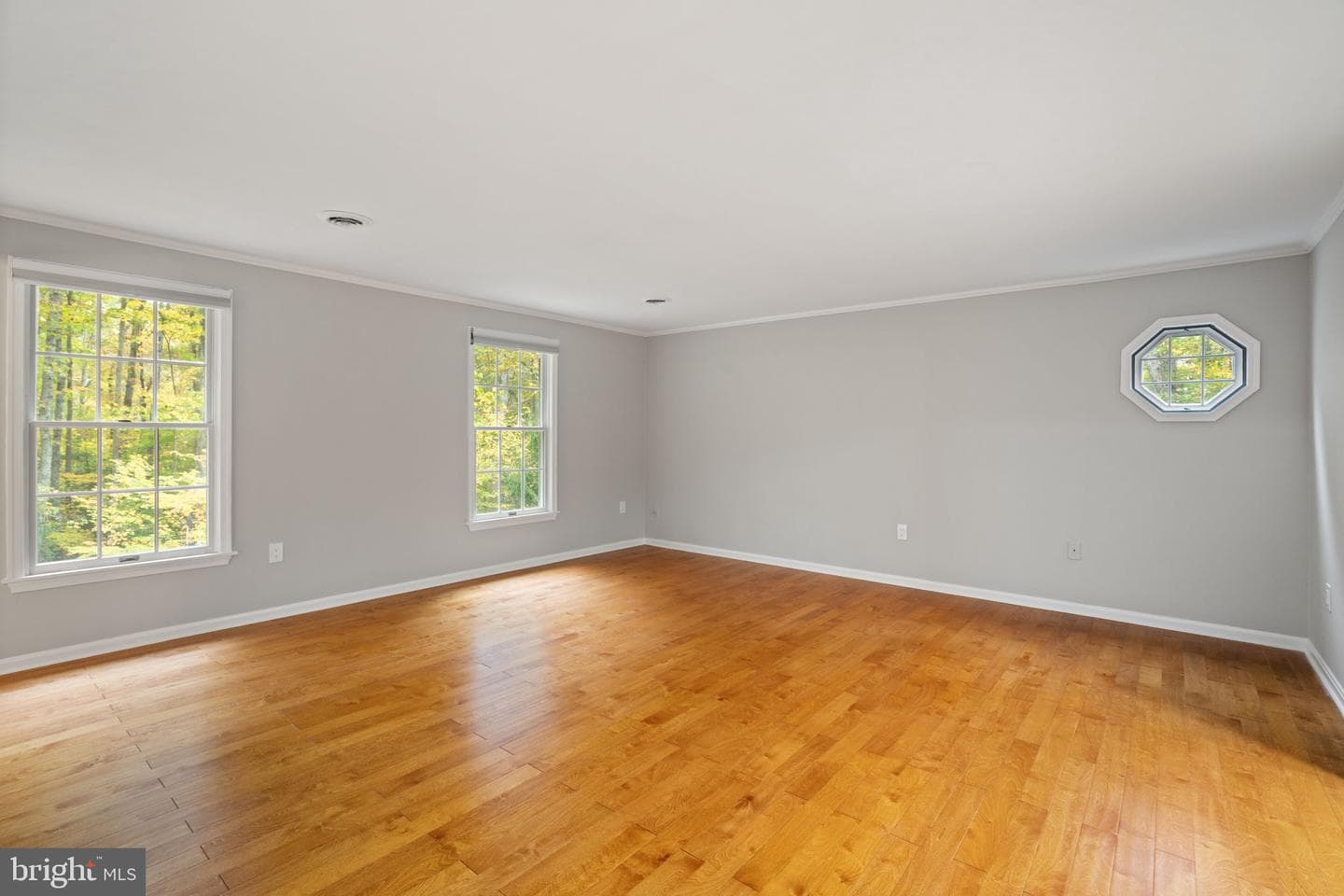 19 Windrush Court photo 31