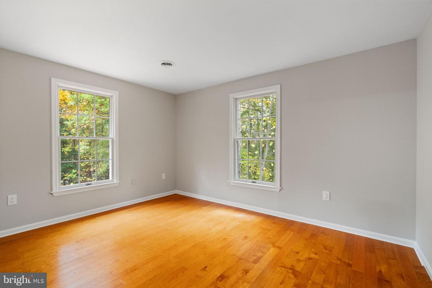 19 Windrush Court photo 37