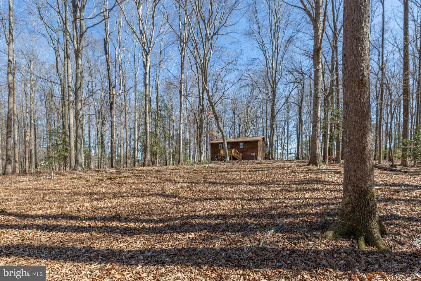 264 Holly Corner Road photo 46