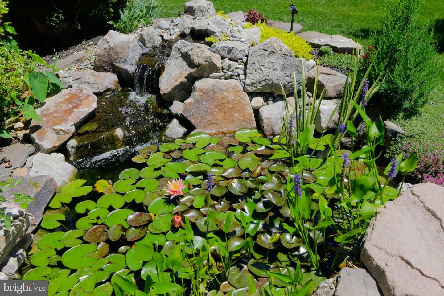 114 Bennington Way photo 56