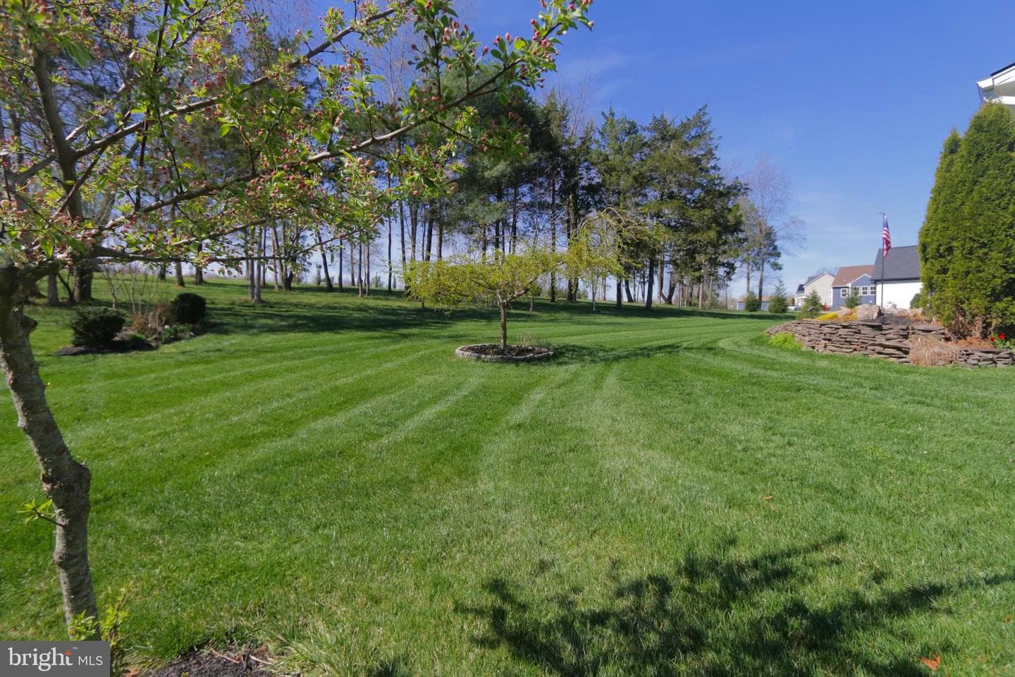114 Bennington Way photo 59