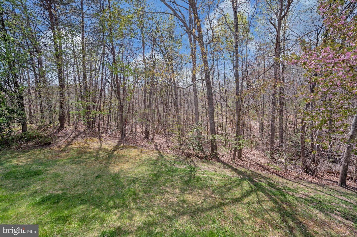 53 Boulder Drive photo 57