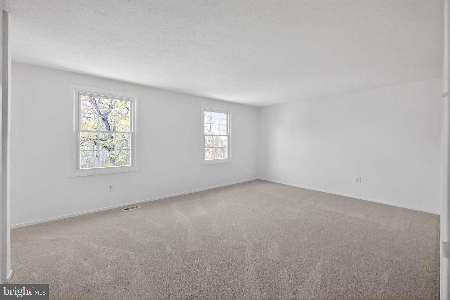 207 Whitsons Run photo 13